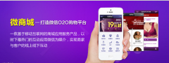 广州微信商城网站首页策划方案