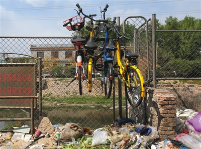 单车围城考验运管能力:有人从垃圾堆里拽出自行车